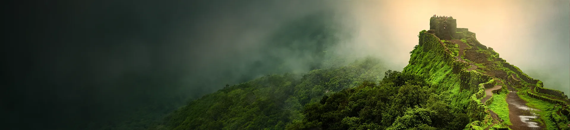 4 Nights 5 Days Kochi Munnar Thekkady Kumarakom Tour Package