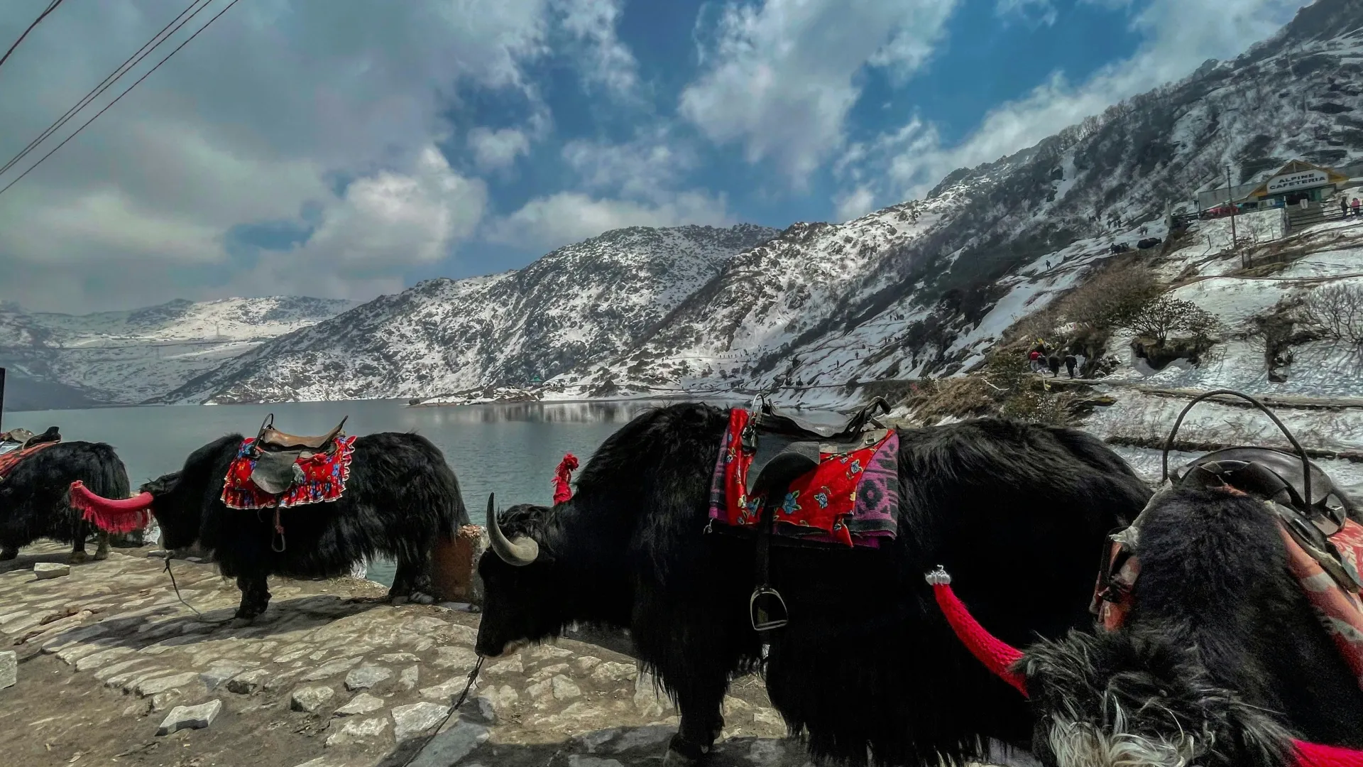 Gangtok Nathula Tour Package